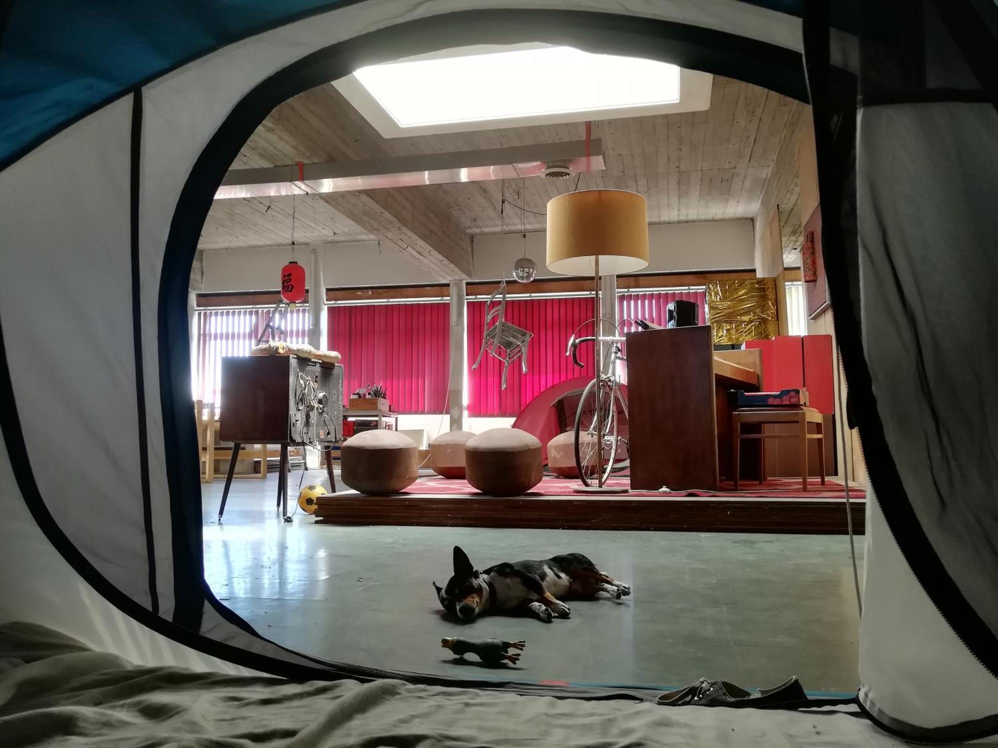 Ghostel 1St - Aventure Alternative - Guest House - Arts-Factory-Experience - For Artists, Makers And Open Minds - Attention, We Are Not A Hotel And Are Not Adapted For Everybody - Read Host Warnings Before Reservation - Www,Providence,Be Asbl Шарлеруа Екстер'єр фото